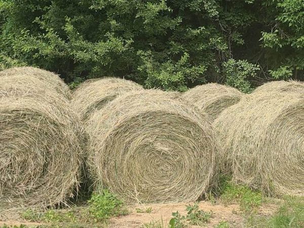 large hay bales