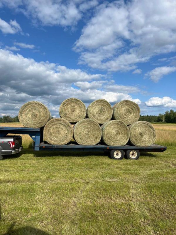 large hay bales 2