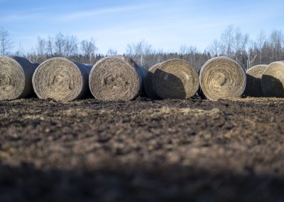 hay bales